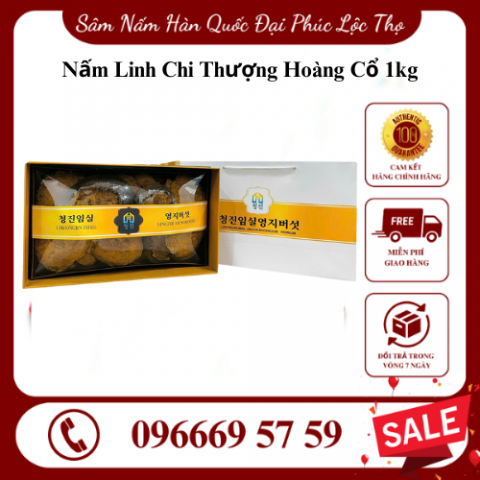 Nấm Linh Chi Thượng Hoàng Cổ (Hộp 1kg) - Bí quyết vàng cho sức khỏe từ thiên nhiên